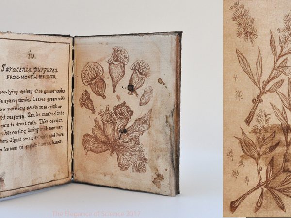 V. Antipothe's Medica Botanicum by Megan Kean: This work is a handmade field guide book of original specimen drawings and captions. It combines Naturalist-era observation, Medieval medical remedies, and false information to highlight the problems with institutional and representational authorities. Both kinds of intellectuals were convinced that they were right, but both had serious flaws. I am similarly challenging viewers to see if they accept the book as fact because of the scientific language despite the strange descriptions. The harmfulness of the plants highlights this; it makes the risks of using this misguided knowledge more prominent.