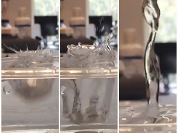 Falling into Water by Kim Backer-Kelley: The image shows surface tension of water. When a object is dropped in a bowl of water there is a displacement of water. So a splash happens. Then the water comes back to reclaims it space that the object took.