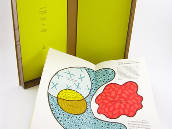 Made Up by Angela Skrivanek: Made Up is a non-scientific science book about the imaginary cellular composition of the human body. Directly inspired by the true cellular make-up of the human body, fourteen cells illustrate emotional triggers we all possess: Anger, Curiosity, Failure, Fear, Jealousy, Joy, Knowledge, Location, Love, the Past, Success, Talent, Trust, and Work. The cell images are vibrant multi-block and reduction linoleum prints with a diagram explaining how each cell operates. The text is playfully pseudo-scientific and presents theories about the attributes that 