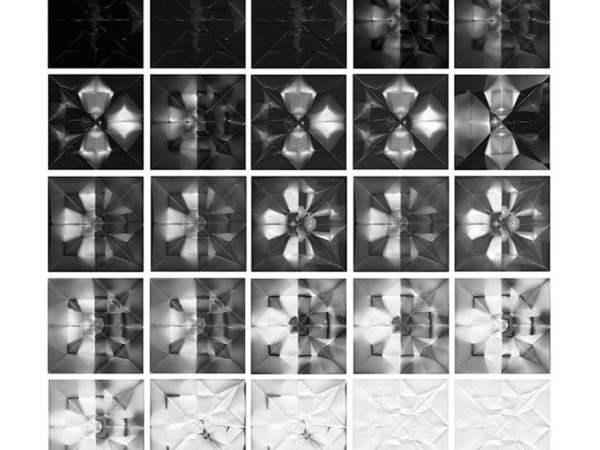 Life Cycle by Joshua P Hobson: This work seeks to address the conditions and attributes of photography as well as the human tendency towards the creation of taxonomies. The desire to categorize, organize and simplify is one of the common human responses to the strange, unexplained and chaotic. This impulse has come to dominate the way we deal with new phenomena. Photography has been utilized since its invention to create and expand archival systems. Pictures transform the nameless into the named, the unwieldy into the static. Inherent in the medium is an impulse to organize. Using origami forms of insects I created a series of photographs and photograms. To provide structure and form to my process, I used natural systems such as life/death, metamorphosis and diurnal/nocturnal as guides. I then translated these models into structures for photographic production that dictate the number of total images, the positioning of origami forms and the duration of exposures.