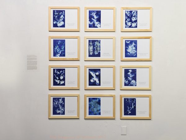 The Dreamers Guide to Mythobotany by Joshua P Hobson: This series of cyanotypes is inspired by the work of early photographer and botanist Anna Atkins. I have created a series of cyanotypes prints depicting, not real plant life, but fictional flora found in literature, cinema and mythology. This work aims to utilize aesthetics to question the authenticity of scientific images. By presenting the images using an indexical photographic process and employing the form of Linnaean taxonomy I ask the viewers to ponder the elevated status and power of photography especially in the scientific arena.