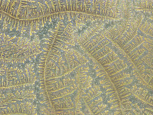 Hydrogel Micro-architecture by Syed-Mustafa Jamal