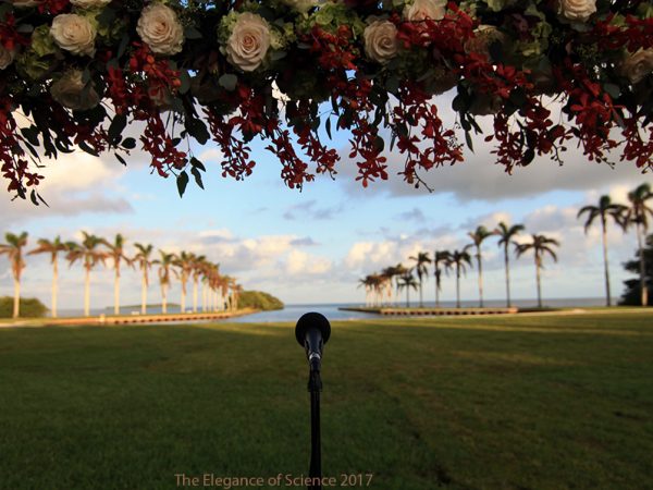 Sounds of Nature by Allan Gonzalez: This was the set up for a wedding ceremony that took place at the Deering Estate in South Florida. In the background is Biscayne Bay. In the foreground, a microphone for the celebrant to guide the bride and groom through their vows. For thousands of years human beings have been drawn to these shores to mark important and beautiful moments. This spot has had human presence for at least 10,000 years. How many more weddings and ceremonies will take place here? We are deciding that every day.