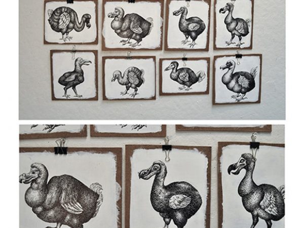 The Unreliable Naturalist by Megan Kean: Dodos existed in a time period in which their appearance could only be documented through drawings. However, there are so many different variations and translations through personal style that it becomes difficult to know the dodoâ€™s true appearance. I wanted to create a collection of these varying depictions to emphasize the unreliability of sources and the eventual loss of knowledge. Even though we have dodo skeletons, any model we create around it is still a guess. By uniting the drawings through style and emphasizing the contrast, I call attention to the anatomical differences that make these primary sources unreliable. I used crosshatching and ink pen as it reminded me of old-style engravings in which most of the primary illustrations were made.