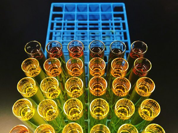 Chromatographic Collection by Danielle Fagnani: Chemists often utilize a method termed chromatography to separate a mixture of molecules into individual components. Column chromatography is used routinely by organic chemists, in which their sample is dissolved in a solvent and passed through a long column. Each molecule will pass through the column at a different speed (depending on the size and structure of the molecule), and exit the column at different time. Imagine the molecules are racing for sport. As the compounds elute from the column (or cross the finish line of the race), they are collected in individual test tubes. Each tube will contain a different population of molecules, and a chemist can then identify which test tube contains the specific molecule they need. This image shows the compounds collected in test tubes after performing column chromatography. On this day, the third row of test tubes contained the winning compound.