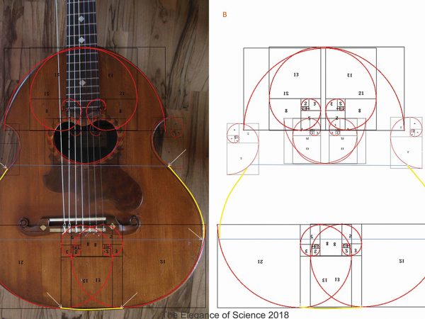 It has been suggested that the epic Cremonese school of lutherie, defined by Andrea Amati and Antonio Stradivari, was incorporating geometric requirements which were based on alchemic principles, ultimately rooted in the Pythagorean school. Among such requirements there were specific measurements matching harmonic ratios and the Golden Ratio. This relatively recent guitar built in 1935 by the Cremonese luthier Luigi Digiuni shows a construction plan based on the Fibonacci spiral, which is an almost perfect approximation of the Golden Spiral. Also, the ratio between the outer profile and the inner profile equals 1.61, the Golden Ratio. These findings suggest that some esoteric principles of musical instrument construction may indeed have survived through the â€œdark agesâ€ of Cremonese lutherie, presumably passed down by word of mouth from master to pupil or between members of the guilds. Right panel is identical to left panel, only the guitar was removed from the background.