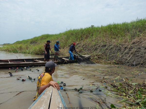 Subsistence fishing constitutes a major economy and food source for Amazonian communities. Here, Peruvian fisherman use a seine net to assist the photographer in sampling a 