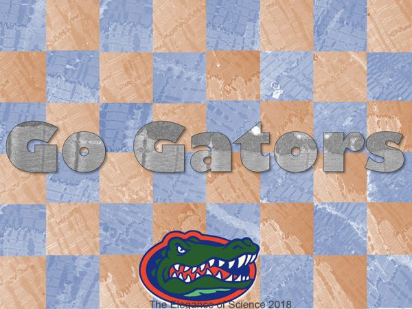 Mitochondria truly are powerhouse of the cell as they create the energy that our body requires to do almost everything. Each individual image is taken from a sample of heart tissue from Boxers and through electron microscopy, it enables us to see the inner portion of the mitochondria. The disease that I am researching is known as Arrhythmogenic Right Ventricular Cardiomyopathy (ARVC). It involves fatty, fibrous infiltration of cardiac tissue which ultimately causes an arrhythmia. The color of each square is pertinent as it indicates those who were and those who were not affected by ARVC. The orange squares represent those affected and blue represent those unaffected. Both are images of cardiac tissue from the right ventricle. The gray mitochondria are samples from the left ventricle of the same Boxers, however it is unknown whether or not these canines were diagnosed with ARVC. If looked at closely, then one can see the structural differences amongst the orange squares compared to the blue. As separate entities, they are merely colored squares, but together they create a beautiful, powerful mosaic.