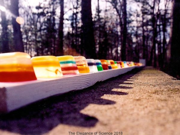 I am a climatologist and I created Core Melt as a visual representation of climate change. Three boards each contain 24 ice cubes made of soap. I poured the cubes in layers and embedded objects in some such as dirt and string. The cubes perch on boards marked with library-style codes so that rates of melt can be cataloged. The piece was displayed outdoors and the cubes melted color streaks across the board; some actually moved. Thus, the cubes are like glaciers where layers of snow are compressed each year as the glacier grows, and melting proceeds more quickly at the bottom as air temperatures rise. The previously-buried artifacts re-emerge as markers of the past. Scientists core ice and use dust, water, and air samples to reveal past climates. Earthâ€™s ice is melting rapidly â€“ the Arctic Ocean may be ice-free by 2040 and sea levels will continue to rise.