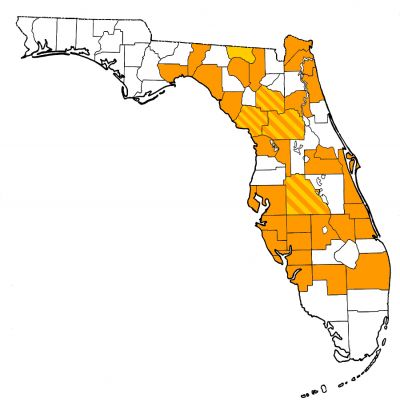 Figure 1. Map of Florida, with orange highlight indicating counties where fossils of Alligator mississippiensis have been found and yellow highlight where fossils of cf. Alligator mississippiensis have been found.