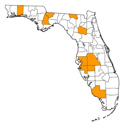 Figure 1. Map of Florida, with highlights indicating counties where fossils of this species have been found.