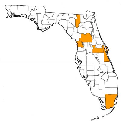 Figure 1. Map of Florida, with highlights indicating counties where fossils of this species have been found.