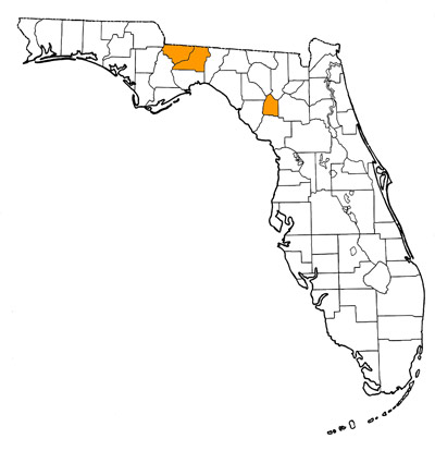 Figure 1. Map of Florida, with highlights indicating counties where fossils of this species have been found.