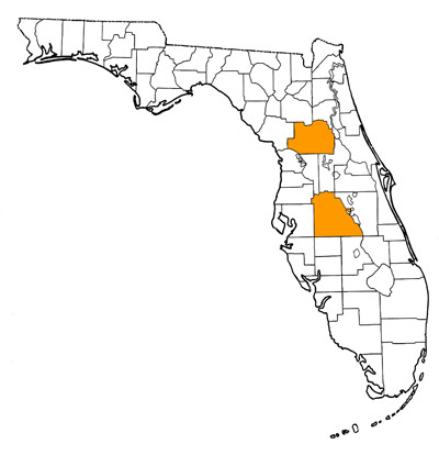 Figure 1. Map of Florida, with highlight indicating counties where fossils of this species have been found