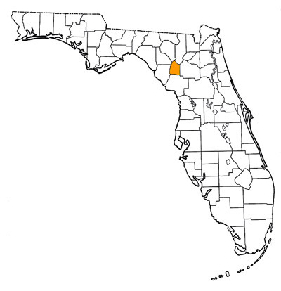Figure 1. Map of Florida, highlights indicating counties where fossils of this species has been found.