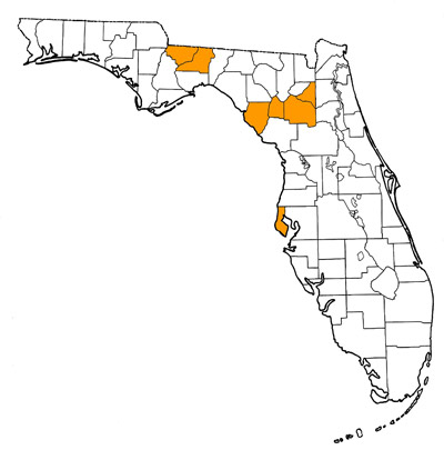 Figure 1. Map of Florida, with highlights indicating counties where fossils of this species have been found.