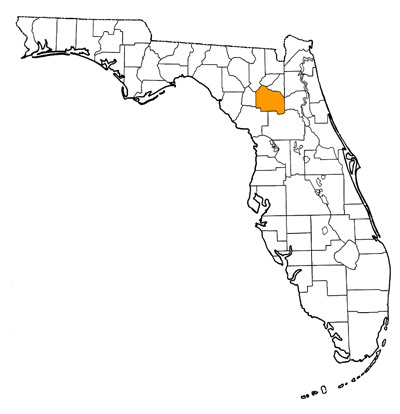 Figure 1. Map of Florida, with highlights indicating counties where fossils of this species have been found.