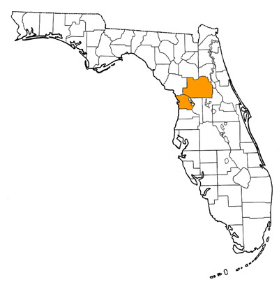 Figure 1. Map of Florida, with highlights indicating counties where fossils of this species have been found.