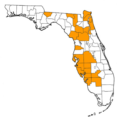 Figure 1. Map of Florida, with highlights indicating counties where fossils of this species have been found.