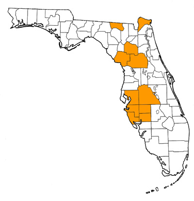 Figure 1. Map of Florida, with highlights indicating counties where fossils of this species have been found.