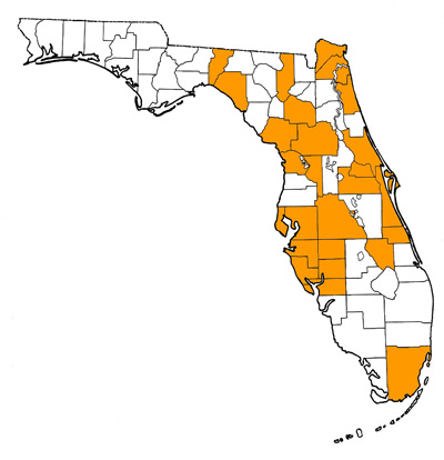 Figure 1. Map of Florida, with highlights indicating counties where fossils of this species have been found.