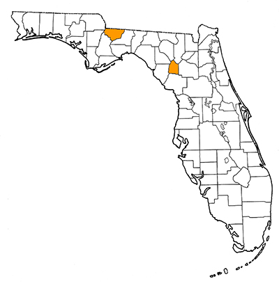 Figure 1. Map of Florida, with highlights indicating counties where fossils of this species have been found.