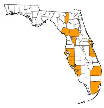 Figure 1. Map of Florida, with highlights indicating counties where fossils of this species have been found.