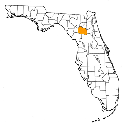 Figure 1. Map of Florida, with highlights indicating counties where fossils of this species have been found.