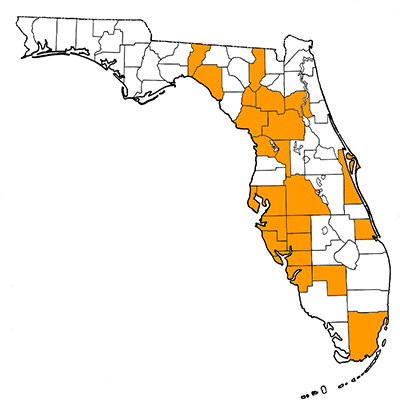 Figure 1. Map of Florida, with highlights indicating counties where fossils of this species have been found.