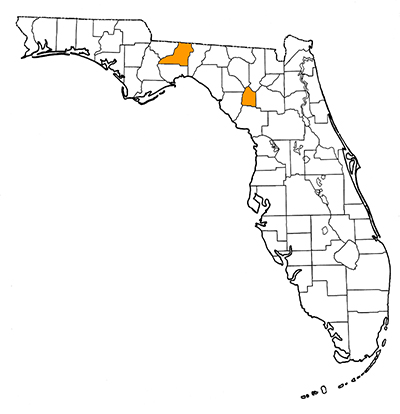 Figure 1. Map of Florida, with highlights indicating counties where fossils of this species have been found.