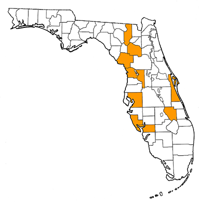 Figure 1. Map of Florida, with highlights indicating counties where fossils of this species have been found.