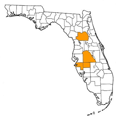 Figure 1. Map of Florida, with highlights indicating counties where fossils of this species have been found.