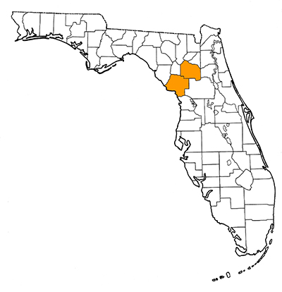 Figure 1. Map of Florida, with highlights indicating counties where fossils of this species have been found.