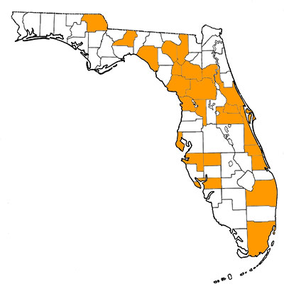 Kuva 1. Floridan kartta, jossa on korostettuna piirikunnat, joista lajin fossiileja on löydetty