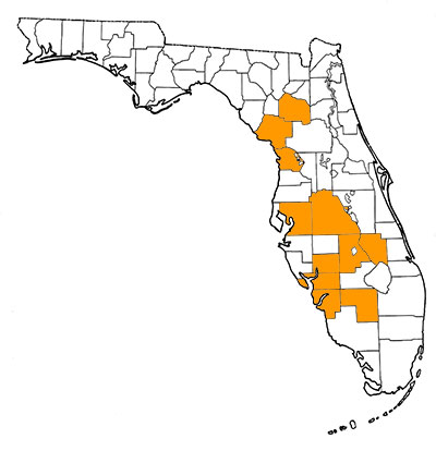 Figure 1. Map of Florida, with highlights indicating counties where fossils of the species have been found