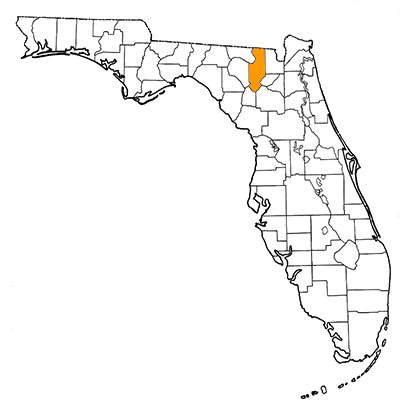 Figure 1. Map of Florida, with highlights indicating counties where fossils of the species have been found
