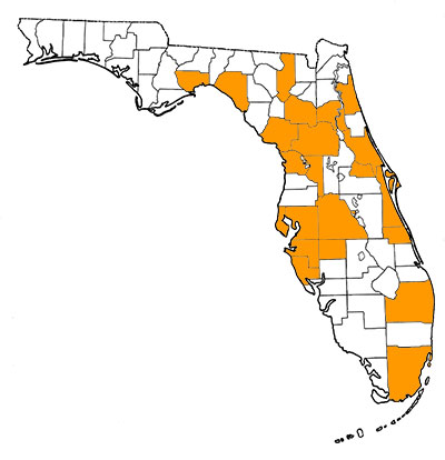 Figure 1. Map of Florida, with highlights indicating counties where fossils of the species have been found