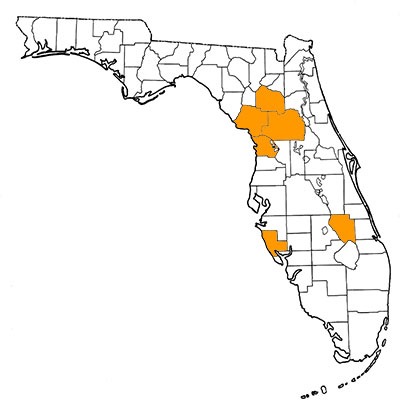 Figure 1. Map of Florida, with highlights indicating counties where fossils of the species have been found