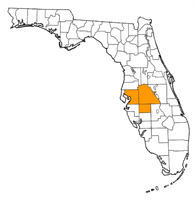 Figure 1. Map of Florida, with highlights indicating counties where fossils of this species have been found.