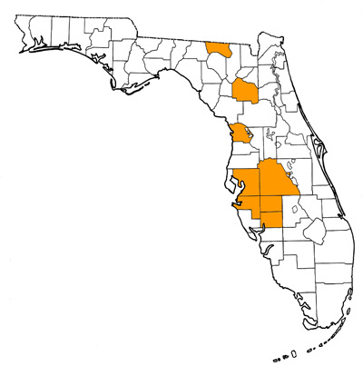 Figure 1. Map of Florida, with highlights indicating counties where fossils of this species have been found.