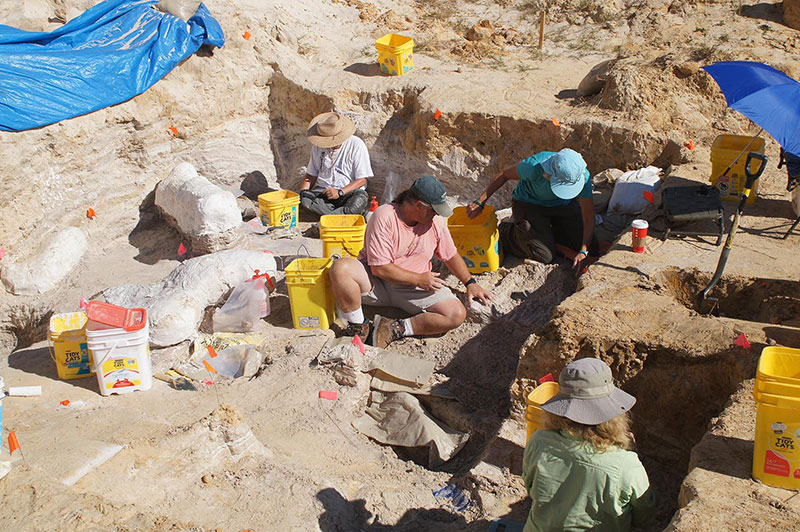 Group excavating