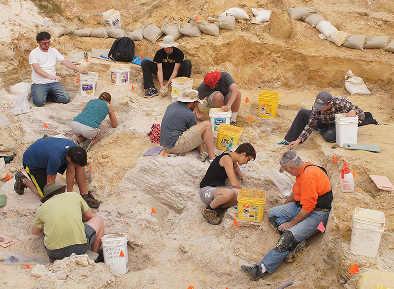 group excavating