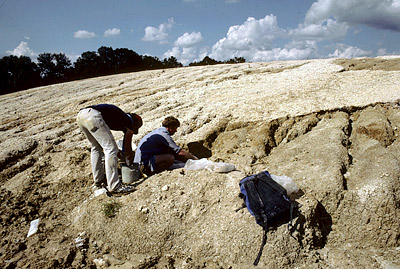 Slope area of site