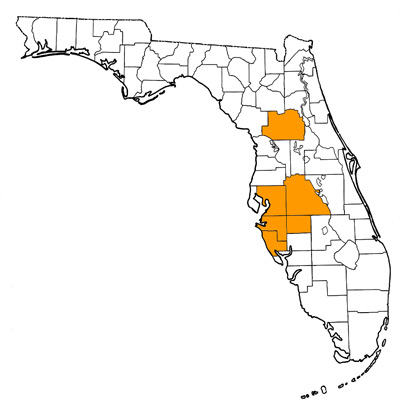 Figure 1. Map of Florida, with highlights indicating counties where fossils of this species have been found.