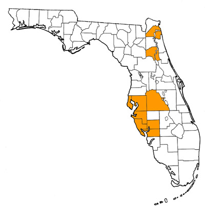 Figure 1. Map of Florida, with highlights indicating counties where fossils of this species have been found.