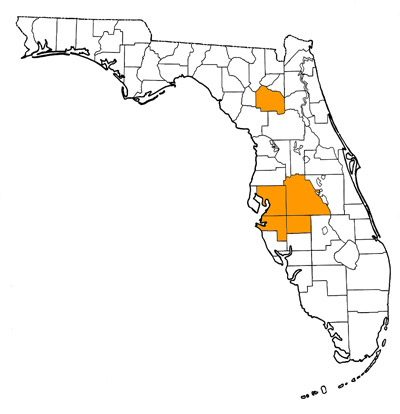 Figure 1. Map of Florida, with highlights indicating counties where fossils of this species have been found.