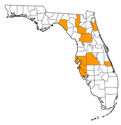 Figure 1. Map of Florida, with highlights indicating counties where fossils of this species have been found.