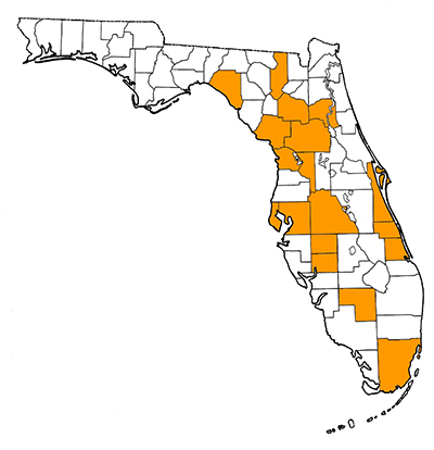 Figure 1. フロリダ州の地図。化石が発見された郡をハイライトで示す