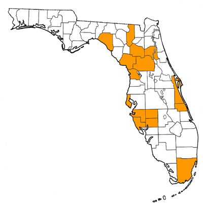 Figure 1. Map of Florida, with highlights indicating counties where fossils of this species have been found.