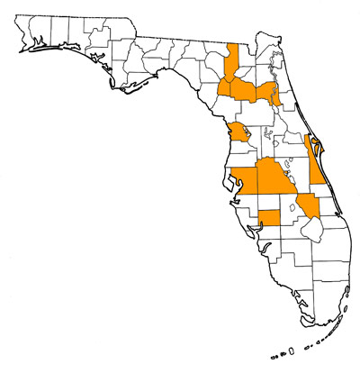 Figure 1. Map of Florida, with highlights indicating counties where fossils of this species have been found.